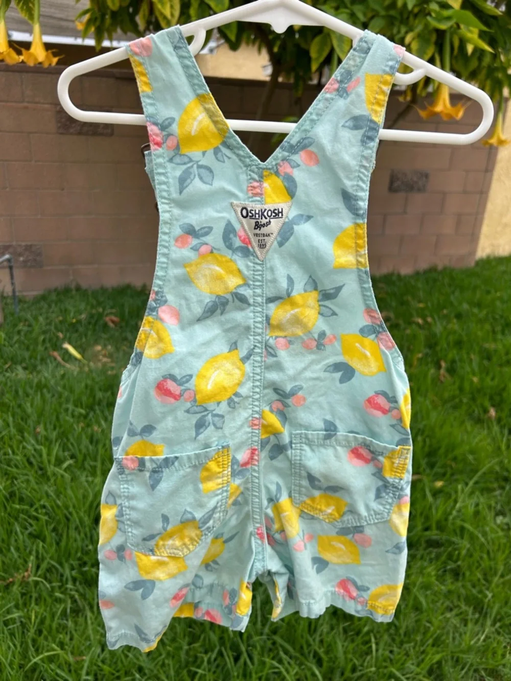 OshKosh B'gosh Aqua Lemon Print Overalls